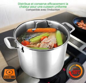 Nutrichef Marmite en Acier Inoxydable-11 Litres-Marmite Inox-Acier Inoxydable de Qualite Alimentaire-Induction Lourde-Faitout-Grande