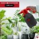 PHOENIX - Pulverisateur Electrique Easy Sprayer 2L Pulverisateur a Batterie Rechargeable, Grande Autonomie Jusqu'a 3H Pulverisat