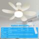 Ulikey Ventilateur Plafond avec Lumiere, Lampe Ventilateur Plafonnier, Ventilateur avec Telecommande et Lumiere, Silencieux, 3 Vites