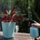 NYGGTYK 1 flacon pulverisateur en plastique pour plantes - Pour l'interieur et l'exterieur - Pulverisateur de pompe a eau (bleu)