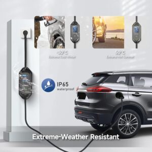 AFYEEV 3.6kW Electric Car Charger, 8101316A Switchable Current, Electric Car Charging Cable with Bag, IEC 62196-2, Type 2, 8 M