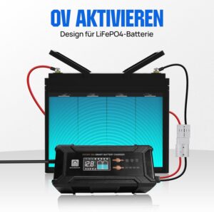 ECO-WORTHY 12V24V 20A Chargeur de Batterie LiFePO4 avec Options Multi-Courant 5A10A15A20A,detection Automatique de la Tension de