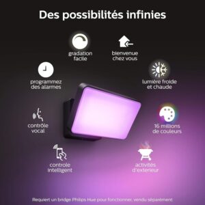 Philips Hue White Color Ambiance Projecteur Exterieur DISCOVER Aluminium Noir, fonctionne avec Alexa, Google Assistant et Apple Ho