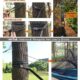 Hamac de camping AnorTrek double avec moustiquaire