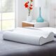 Linenspa Oreiller Ergonomique Cervical a memoire de Forme en Charbon Actif de Bambou Coussin Ergonomique pour la Nuque, Bamboo Cha