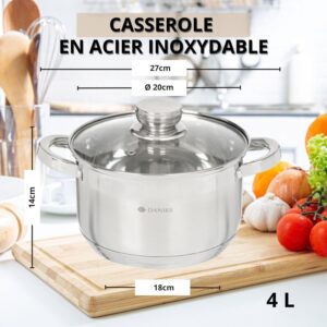 Daniks Standard Marmite Inox 20 cm 4 Litres, Faitout avec Couvercle en Verre, Tous Feux y Compris Induction, avec Echelle de Mesure,