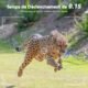DEATTI 4K 48MP HD Hunting Camera for Telephone, WiFi Camera Infrared Night Vision Animals Camera Trap Camera, 120IP66, 32GB Card a