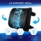 Healthfix Coussin Lombaire Ergonomique Soutien Dos a Memoire de Forme Chaise Bureau Voiture Ameliore la Posture Housse Re