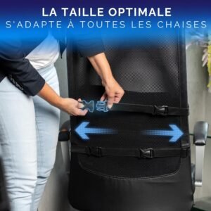 Healthfix Coussin Lombaire Ergonomique Soutien Dos a Memoire de Forme Chaise Bureau Voiture Ameliore la Posture Housse Re