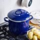 BK Indigo Marmite Allemande Emaillee Heritage Neerlandaise en Revetement Antiadhesif en Ceramique sans PFAS avec Couvercle, 24 cm8.