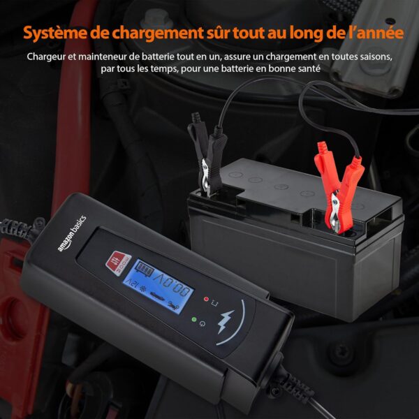 Amazon Basics Smart Automatic Battery Charger with Battery Tester Function, EU Plug, Output: 2A4A, 6V12V DC, Black