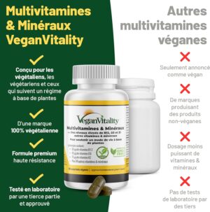 Multivitamines et mineraux vegan Source renforcee de vitamine C, vitamine k2, B12 et fer - 180 pilules vegan multivitamines. 6 moi