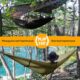 NatureFun Hamac ultra-leger de voyage Camping 300 kg Capacite de charge,(275 x 140 cm) respirante, nylon a parachute a sechage rap
