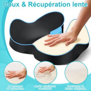 Coussin coccyx POOTACK chaise bureau ergonomique soulage
