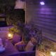 Philips Hue White Color Ambiance Projecteur Exterieur DISCOVER Aluminium Noir, fonctionne avec Alexa, Google Assistant et Apple Ho