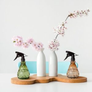 Vwoqiy 2 Pieces 500ML Vaporisateur Bouteilles Vide Rechargeable, Bouteilles Eau Plastique Vides, Flacon Pulverisateur, Spray Bouteil