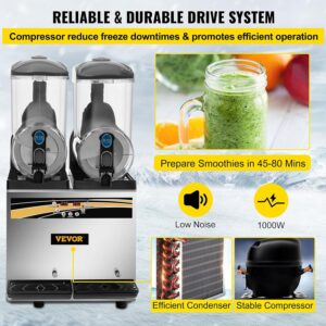 Machine à granité VEVOR 2 x 15 L en acier inox argenté