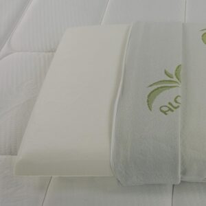 81QGey523RL._AC_SL1500_.jpg Baldiflex Lot de 2 Oreillers a Memoire de Forme, Housse en Aloe Vera, Paire de Coussins Anti-Transpiration, Anti-Acarien et Hypo-All