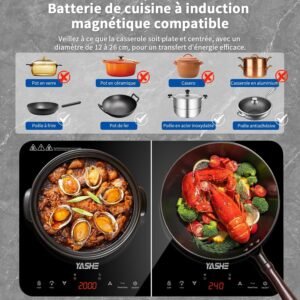 YASHE Plaque de cuisson a induction Double plaque a induction, puissance de 10 W et 10 niveaux de temperature, 3500 W, 2 plaques,