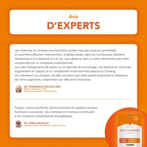 Multivitamines et Mineraux Avec Ginseng - Vitamines A, B1, B2, B3, B5, B6, B8, B9, B12, C, D3, E, Magnesium, Selenium et Zinc - En