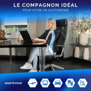 Healthfix Coussin Lombaire Ergonomique Soutien Dos a Memoire de Forme Chaise Bureau Voiture Ameliore la Posture Housse Re