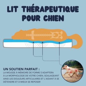 Coussin chien mémoire de forme ZENAPOKI 110x70x9 cm lavable