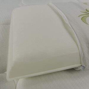 81dhf27nh3L._AC_SL1500_.jpg Baldiflex Lot de 2 Oreillers a Memoire de Forme, Housse en Aloe Vera, Paire de Coussins Anti-Transpiration, Anti-Acarien et Hypo-All