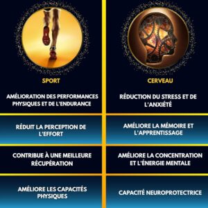 RHODIOLA ROSEA 2X Plus D'actif 5 Rosavine 1,8 Salidroside Qualite Unique Rhodiolife Performance Adaptogene Bien etr