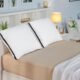 Oreillers 65 x 65 cm Utopia Bedding - Lot de 2, fibres 3D