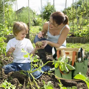 Set d'outils de jardin 10 pièces YAUNGEL inox poignée bois