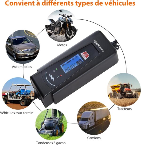 Amazon Basics Smart Automatic Battery Charger with Battery Tester Function, EU Plug, Output: 2A4A, 6V12V DC, Black