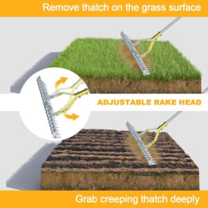 BARAYSTUS Straw Rake Lawn Rake with Long Handle Adjustable 148cm Garden Leaf Tongs Heavy Duty Carbon Steel Lawn Comb Multipurpose We
