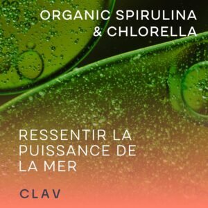 Spiruline Chlorella BIO - 360 comprimes de 500mg - Qualite Superieur - Riche en Proteines, Mineraux Antioxydants - Hautement dose,