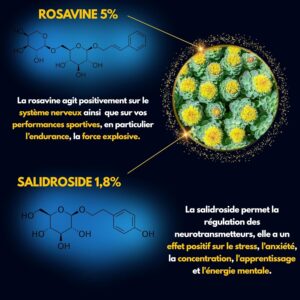 RHODIOLA ROSEA 2X Plus D'actif 5 Rosavine 1,8 Salidroside Qualite Unique Rhodiolife Performance Adaptogene Bien etr