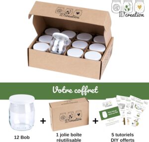 DIY Creation - Lot de 12 Pots de Yaourt en Verre avec couvercles hermetiques - Yaourtiere Seb Multidelices, Thermomix, Cookeo - peti