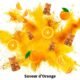Gommes au Curcuma avec Gingembre et Poivre Noir - Hautement Dosee avec 80 de Curcumine et 95 Piperine - Anti Inflammatoire et Anti