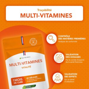 Multivitamines et Mineraux Avec Ginseng - Vitamines A, B1, B2, B3, B5, B6, B8, B9, B12, C, D3, E, Magnesium, Selenium et Zinc - En