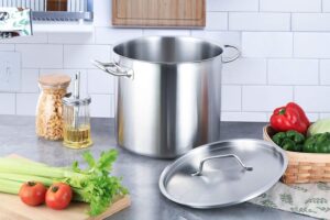 Amazon Basics Marmite avec couvercle Acier inoxydable avec revetement aluminium 9.5 litres, Argente (Anciennement marque AmazonComme