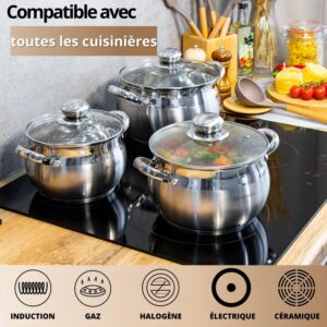 Daniks Classic Marmite Inox 18 cm 3 Litres, Faitout avec Couvercle en Verre, Tous Feux y Compris Induction, avec Echelle de Mesure,