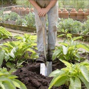 Spear Jackson 4450DS Traditional Stainless Steel Spade