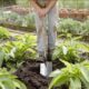 Spear Jackson 4450DS Traditional Stainless Steel Spade
