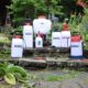 Spear Jackson 2LPAPS Pulverisateur a pression de 2 litres