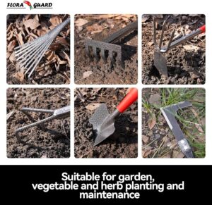 FLORA GUARD 6 Pcs Garden Tools Stainless Steel Garden Tool Kit with 2-in-1 Hoe, Treulle, Rakes, Weeder Knife, Hammered Finish, for P