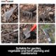 FLORA GUARD 6 Pcs Garden Tools Stainless Steel Garden Tool Kit with 2-in-1 Hoe, Treulle, Rakes, Weeder Knife, Hammered Finish, for P