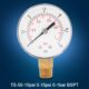 Mini-manomètre basse pression BSPT 0-1 bar (0-15 psi)