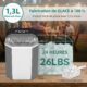 Machine à glaçons 6 min 9 glaçons/cycle - Acier inoxydable