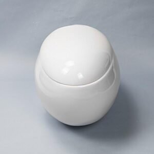WC suspendu œuf Ove 59x41 cm blanc avec abattant