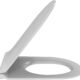 WC suspendu Jacob Delafon sans bride 3/6L abattant blanc