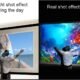 610YTEV0F4L._AC_SL1024_.jpg Projecteur 4K portable 1080P écran 139'' HDMI/USB/VGA