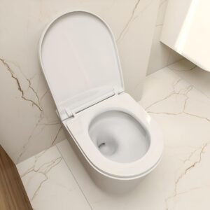 Kit WC suspendu Lavita Duofix Basic blanc sans bride